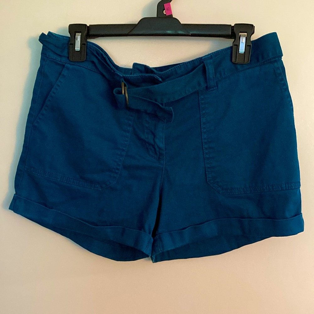 Artisan NY Blue Womens Shorts, Size 6